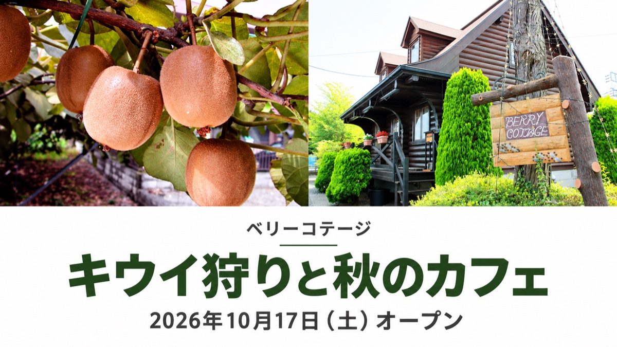 2026年 キウイ狩りと秋のカフェ営業について
